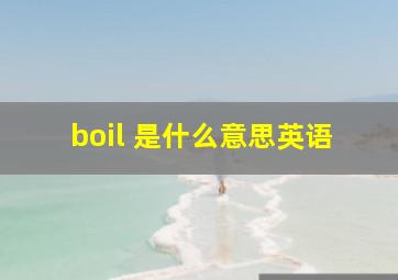 boil 是什么意思英语